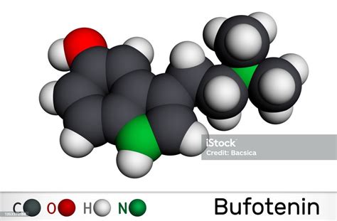 Vetores de Molécula De Alcaloide Bufotenin É Derivado De Triptamina Analógico Analógico ...