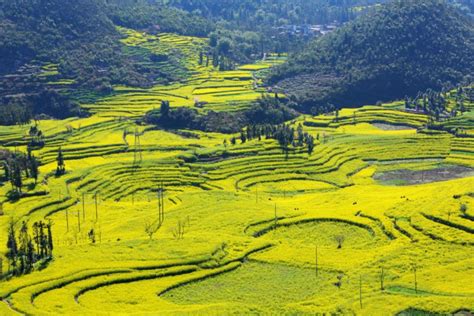 A ultimate Yunnan travel guide for you! | Expats Holidays