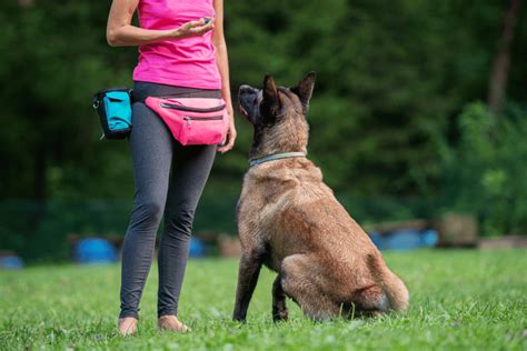 How to Train a Guard Dog - Deep Sentinel