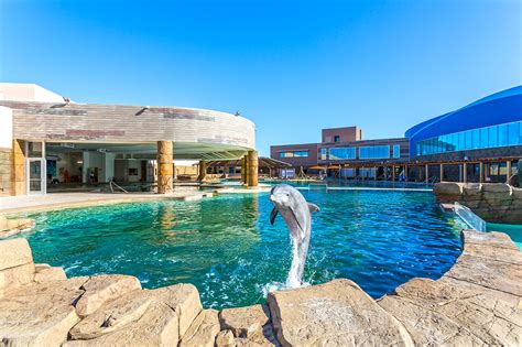 People and Dolphins Can Swim in This Pool| Aquatics International Magazine