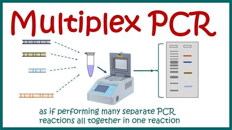 What is PCR Multiplex Assays and Advantages