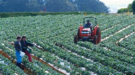 Women in Agriculture Still Face Barriers, New Study Shows - Growing Produce