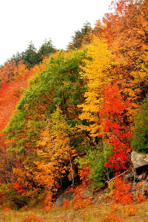 Blue Ridge Parkway Fall...been on it many times during "leaf season".... | Autumn scenery ...