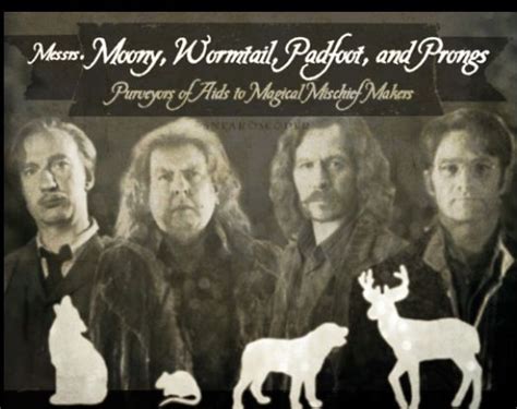 Moony, Wormtail, Padfoot and Prongs. | Harry potter, Harry potter books, Harry potter films