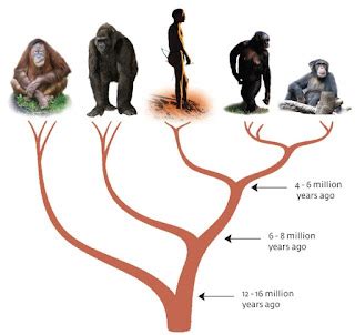 It's the same DNA!: December 2015