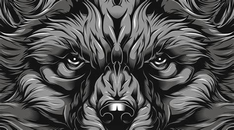 Gray Fox T-shirt Designs on Behance