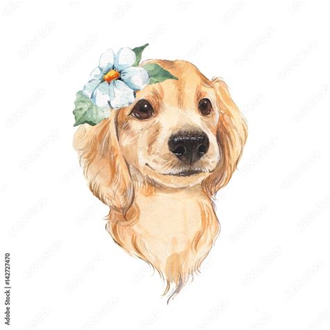 Cute dog sketch isolated on white background. Hand painted. Watercolor ...