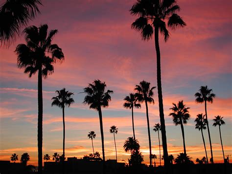 🔥 [40+] California Sunset Wallpapers | WallpaperSafari