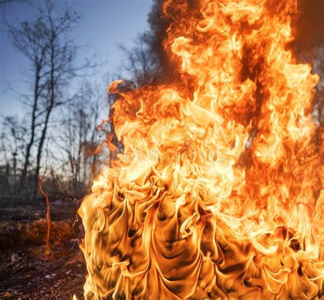 Burning forests and fields stock image. Image of grass - 178453455