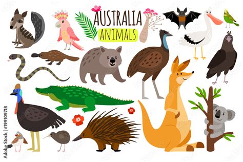 Australian Animals Images