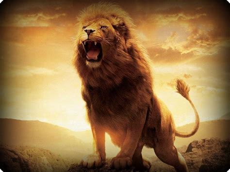 Lion Of Judah Wallpapers - Wallpaper Cave