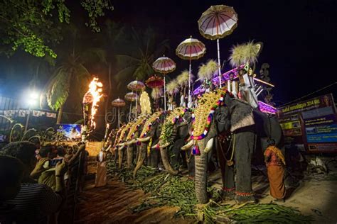 Elephants at Hindu Temple Festival Editorial Photo - Image of temple, parade: 89437526