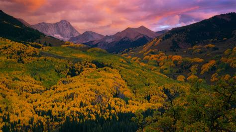 Fall Colors Guide: Where you can see the early arrival of fall foliage in Colorado