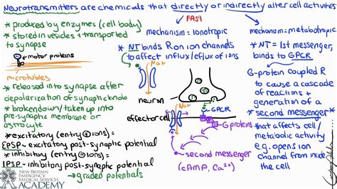 Neurotransmitters & Receptors - YouTube