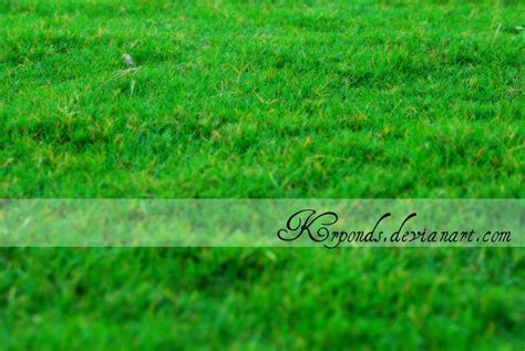 Baseball field grass by Krponds on DeviantArt