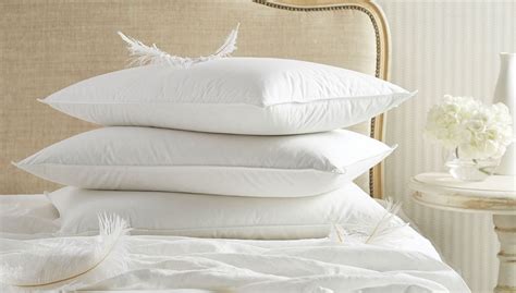 7 Best Feather Pillows Reviewed in Detail (Fall 2023)