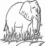 Free Printable Elephant Coloring Pages For Kids sketch template