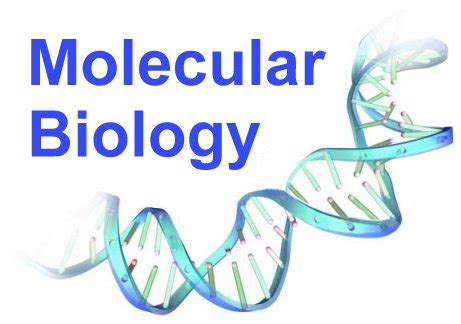 Opinions on Molecular biology