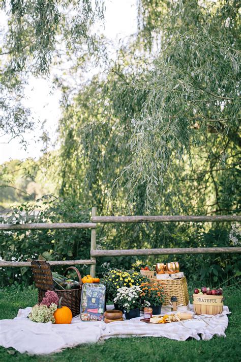 Creating A Fresh Fall Picnic | The Blondielocks | Life + Style