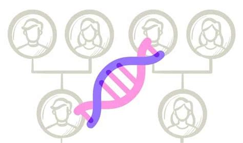 How DNA Tests Can (and Can’t) Build Your Family Tree