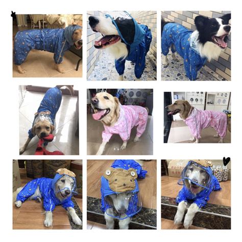 Cartoon Dog Raincoat With Hood Breathable Raincoat