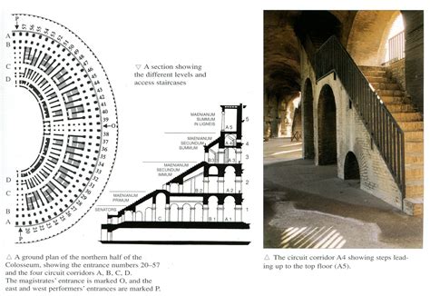 Sections of the Colosseum | Colosseum, How to plan, Roman history