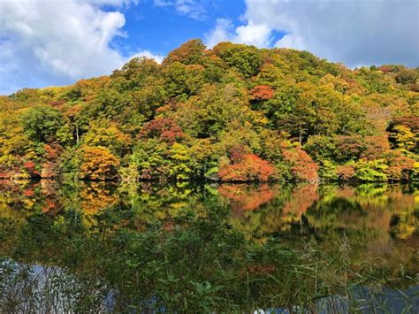 Travel Guide to Akita: Japan's Rural Northern Prefecture - Goats On The Road