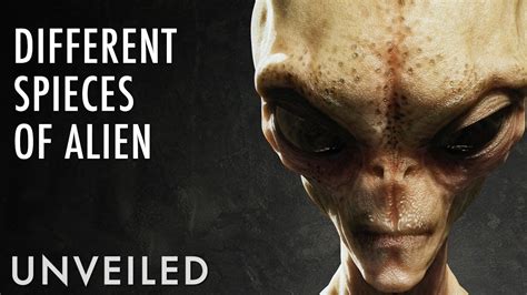 The Different Types Of Alien You Should Know About | Unveiled - YouTube