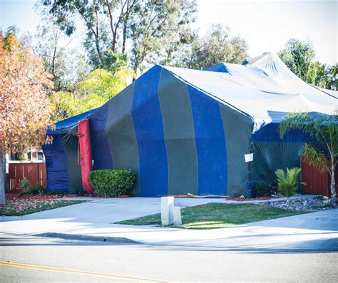 What to Expect When Termite Tenting - Drive-Bye Pest Exterminators