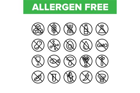 Allergen Free Food Vector Linear Icons Graphic by stockvectorwin · Creative Fabrica