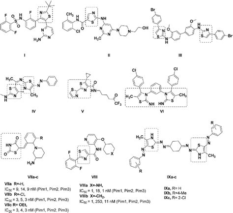 Reported thiazole, thiazolidinedione and bis-thiazole derivatives with ...