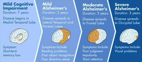 group_4_presentation_3_-_alzheimer_s_disease - Wiki