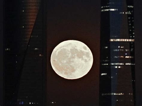 Blue supermoon: what is it, when it peaks and how to see it : NPR