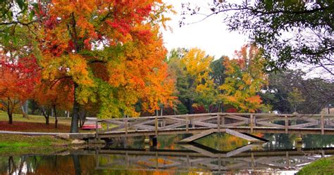 This Is The Best Time To See Beautiful Fall Colors In Arkansas