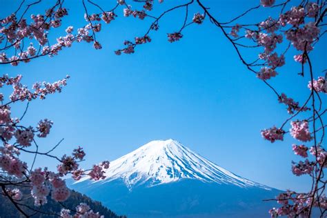 What to Expect: Seasons And Weather In Japan | Japaniverse Travel Guide