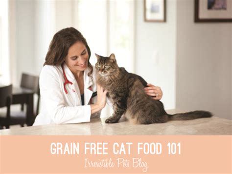 Grain Free Cat Food 101 {Plus Giveaway!} - Irresistible Pets