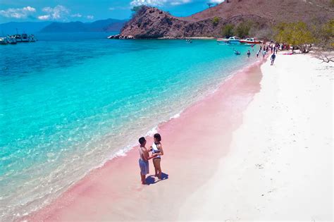 One Day Trip Pink Beach Lombok - DGM Tours