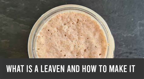 What is a leaven and how to make it | Sourdough Basics