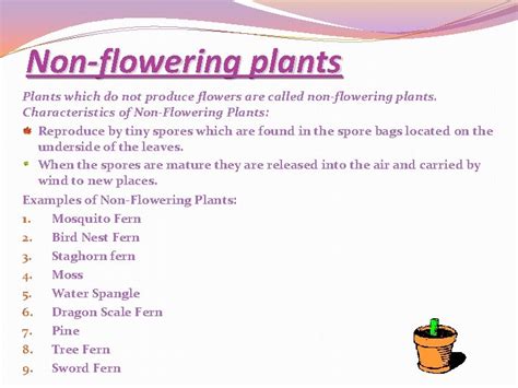 Classification of Flowering Plants and NonFlowering Plants Project