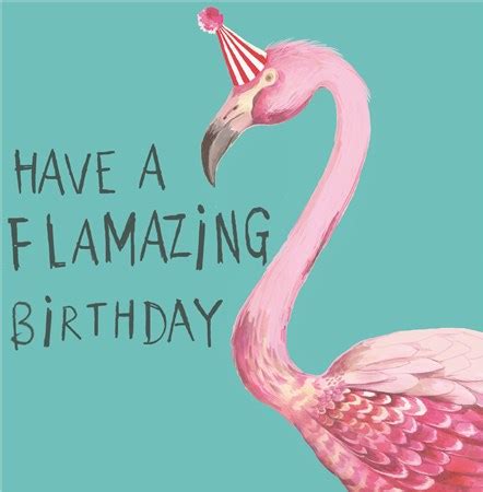 Greeting Cards » Have A Flamazing Flamingos Birthday Card - Sooshichacha