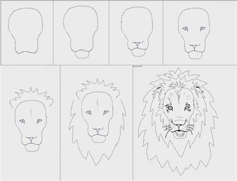 Lion Face Drawing Step By Step at PaintingValley.com | Explore ...