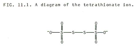 Tetrathionate - Alchetron, The Free Social Encyclopedia