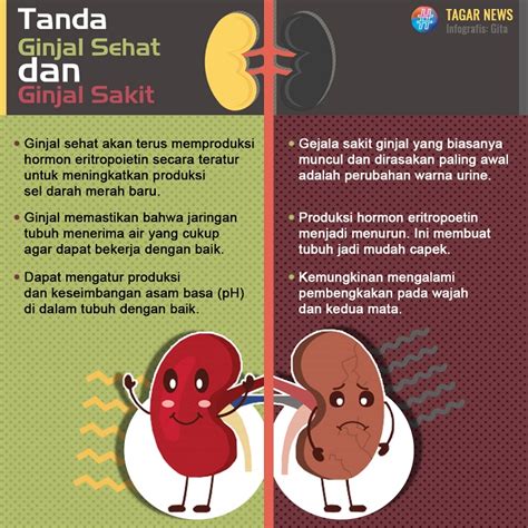 Ginjal Sehat vs Ginjal Sakit, Kenali Tanda-tandanya | Tagar