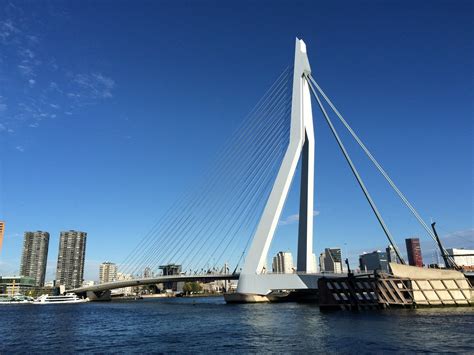 Erasmusbrug (Erasmus Bridge) Rotterdam Free Photo Download | FreeImages