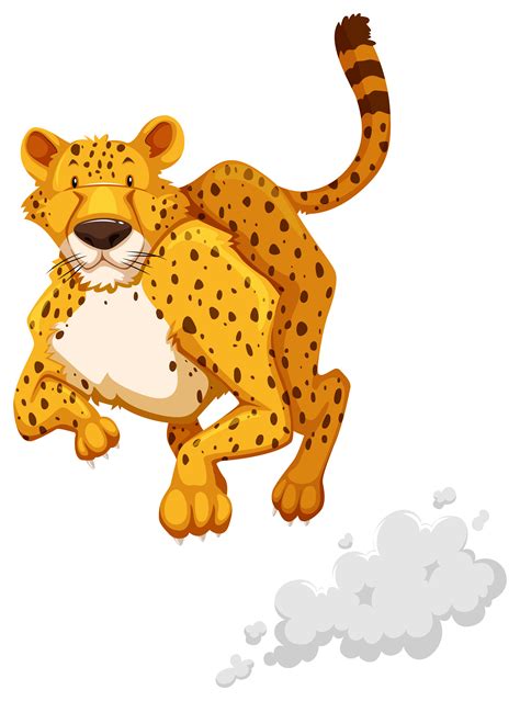 Cheetah 367074 Vector Art at Vecteezy