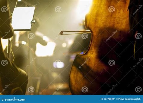 Double bass player stock image. Image of beauty, color - 107786941