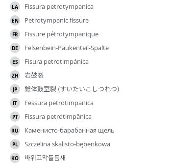 Petrotympanic fissure - e-Anatomy - IMAIOS