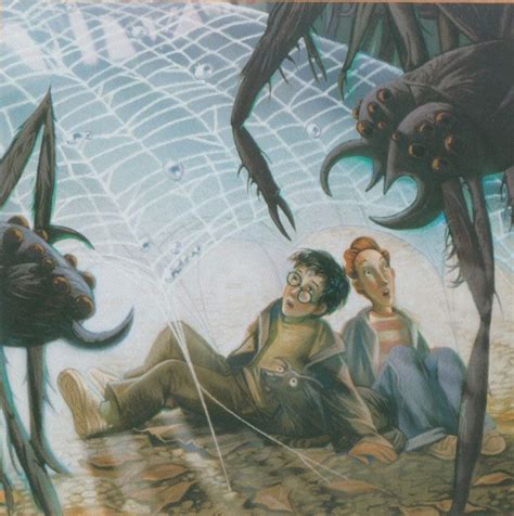 Going to Aragog | Harry potter, Illustrazioni