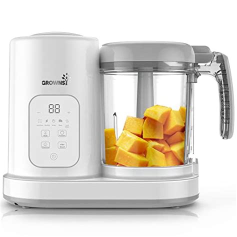 The 7 Best Blender to Puree Food At Home Reviews