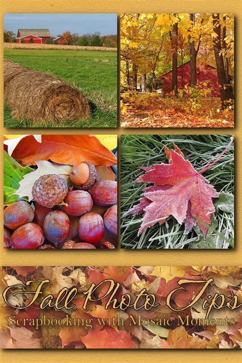 Fall Photo Tips - Mosaic Moments Photo Collage System